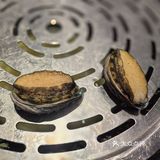 必吃榜海鲜餐厅—第一次有人给剥虾