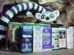 -杭州开元森泊度假乐园