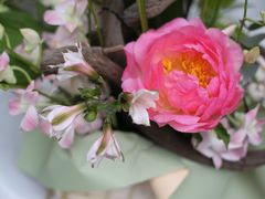 -花到家(富贵鸟花艺行)