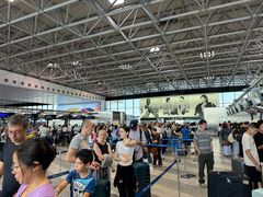 -米兰马尔彭萨国际机场