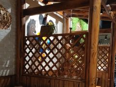 -草原塞蛮羊火锅城(港湾店)