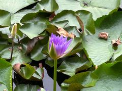 -杭州城北体育公园