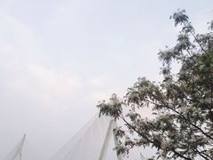 -大渡口区义渡公园