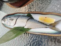 大青鱼-道乐烧肉酒馆