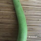 简单好吃的番茄炒瓠子