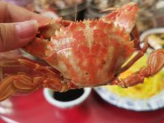 -金渔村海鲜烧烤大排档