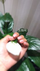 -生活美一点玉指间美甲美睫