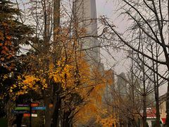 -八大关景区