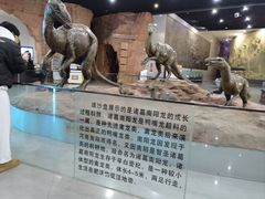 -中国西峡恐龙遗迹园
