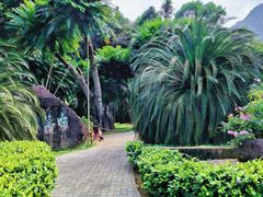 -深圳仙湖植物园