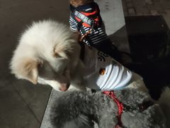 -胖哥俩肉蟹煲(福州仓山爱琴海店)