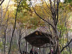 -野三坡百草畔景区