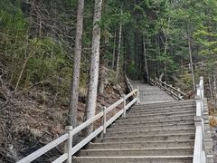 -黄龙山原始森林景区