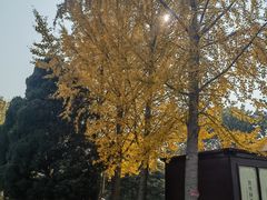 -赵州桥景区