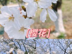 -南山风景名胜区