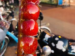 -和禄德冰糖葫芦