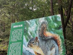 -湖洞水自然风景区