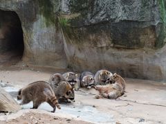 -杭州野生动物世界