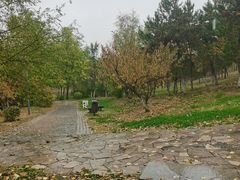 -莫子山公园
