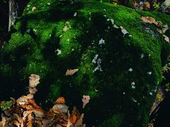 -五女峰国家森林公园