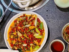 -先机泉水鸡汤(南山老君洞店)