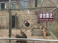 -南京金牛湖风景区