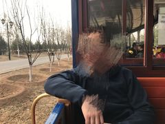 -永定河休闲森林公园