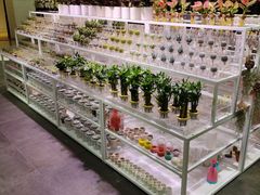 -KKV(东莞海德汇一城店)