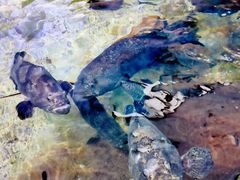 -鸿通城购物中心