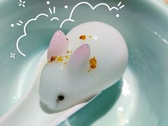 -探窝·竹笙椰子鸡(杨箕店)