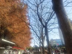 -潮府馆·非遗潮州菜·世纪公园(新国际博览中心店)