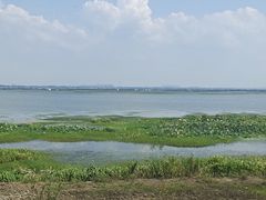-七的湖·晚芳亭·阳澄湖农家菜·大闸蟹(莲花岛店)