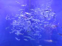 -成都浩海立方海洋公园