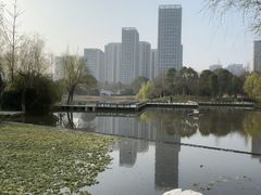 -洋湖国家湿地公园
