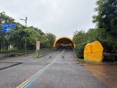 -顺峰山公园