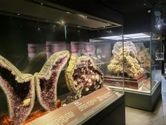 -正佳自然科学博物馆