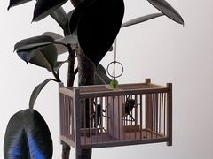 -金陵花卉交易市场