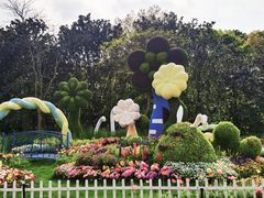 -上海共青森林公园