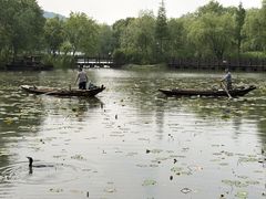 -长兴太湖图影湿地文化园