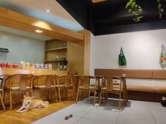 -柴务处·柴犬主题狗咖