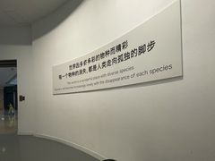 -重庆自然博物馆(新馆)