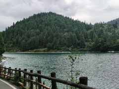 -武陵山森林公园