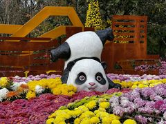 -南山植物园