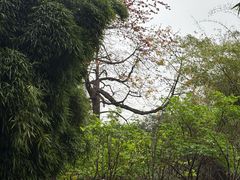 -晓港公园