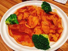 鲍汁虾籽焖特级花胶-粤食堂(天津和悦汇店)