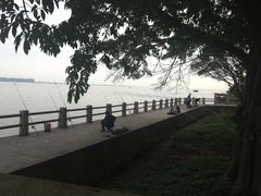 -南沙十九涌渔人码头-南门