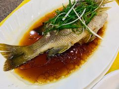 清蒸活海鱼-锐记美食店·现捞海鲜(闸坡店)
