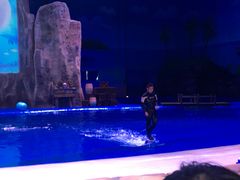 景点-华夏文旅西安度假区