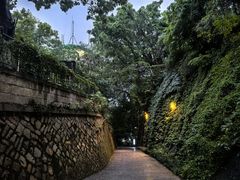 -乌山风景区