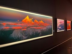 -罗红摄影艺术馆